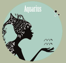 A combination of the opposite signs – a Leo man and Aquarius woman is always very interesting.