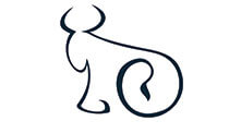 sketch outline of a bull
