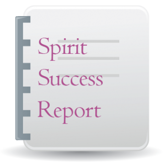 Spirit Success Report