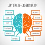 Left Brain vs. Right Brain demonstration, where the left brain includes analysis, logic, facts., sequencing, mathematics, and language. The Right Brain side reveals creativity, intuition, feelings, imagination, daydreaming, and arts.