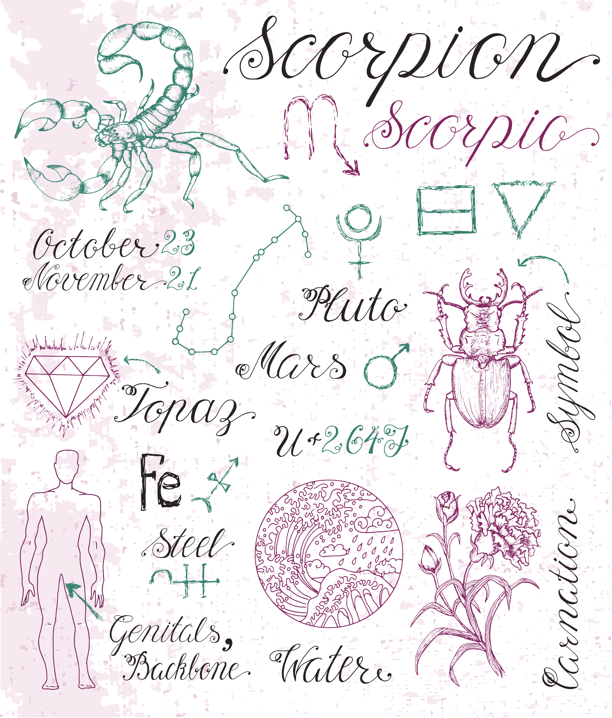 Scorpio s Associations and Symbols Cafe Astrology