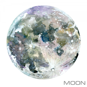 Transits of the Moon