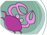 A pink crab on a green background, depicting Cancer the Crab