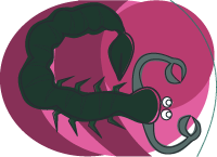 A black scorpion on a pink background illustrates the symbol of the zodiac sign of Scorpio