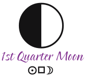 First Quarter Moon