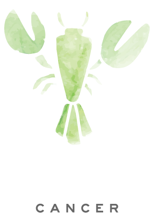 A crab or lobster in green watercolors