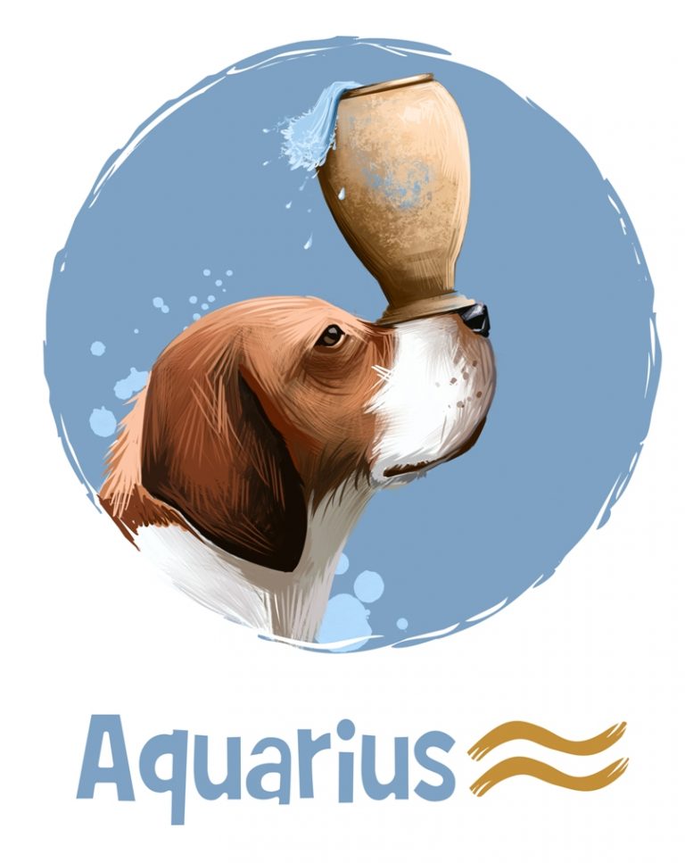 Aquarius