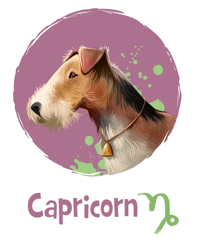 Capricorn in the Year of the Dog 2018
