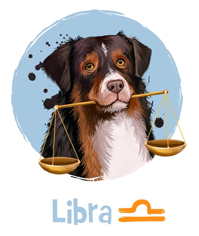 Libra in the Year of the Dog 2018