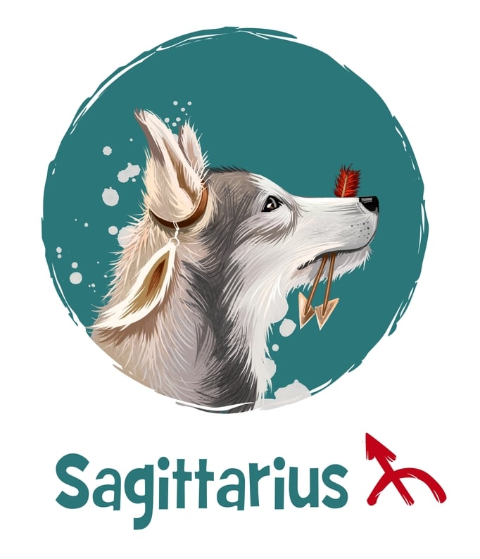 Sagittarius in the Year of the Dog 2018