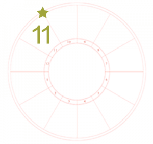 The eleventh house sign portrayed by a number 11 over the eleventh house and a star at the start or cusp on an otherwise blank chart wheel