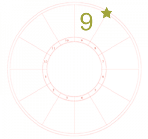 The ninth house sign portrayed by a number 9 over the ninth house and a star at the start or cusp of the house on an otherwise blank chart wheel