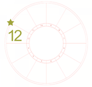 The twelfth house sign portrayed by a number 12 over the twelfth house and a star at the start or cusp on an otherwise blank chart wheel