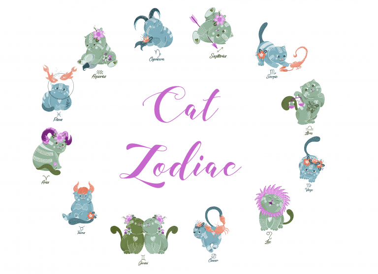 cat zodiac puzzle