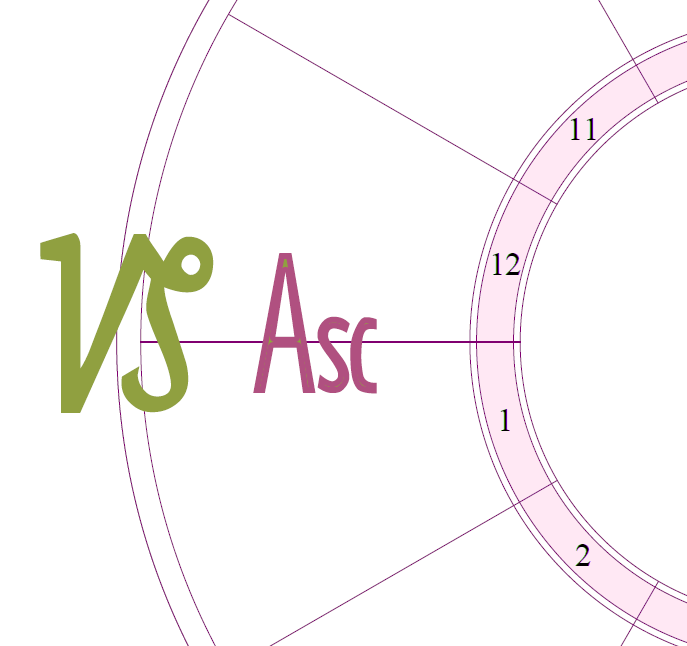 A snippet of a chart wheel with the Ascendant (first house) in emphasis and a large Capricorn symbol over the first house cusp.