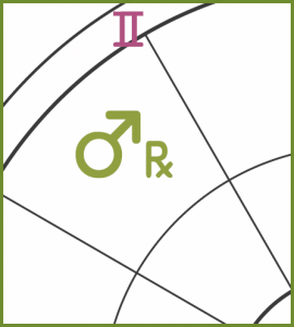 Mars retrograde depicted in the eleventh house of Leo's solar chart