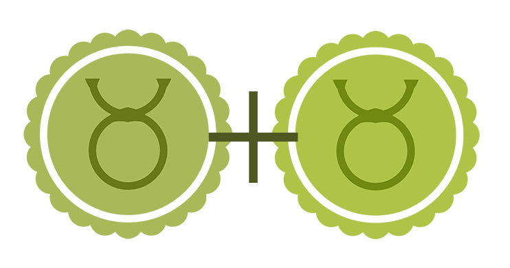 A green Taurus symbol (green representing the Earth element) alongside a second green Taurus symbol.