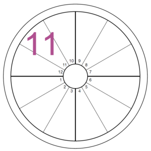 A blank chart has a purple numeral eleven overlaying the 11th house, found at the middle upper left of the chart