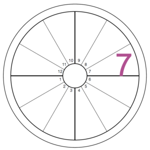 A blank chart has a purple numeral seven overlaying the 7th house, found at the middle right of the chart