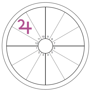 An oversized purple Jupiter symbol overlays the 11th house of an otherwise blank chart wheel