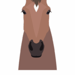 Chinese Astrology 2026 Horoscopes: The Year of the Horse